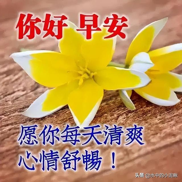 早安心灵鸡汤句句经典正能量，最棒的微信早安语录句子