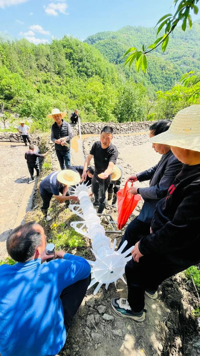 水稻直播技术送上门 让粮食种植简单又高效！ ||文明实践