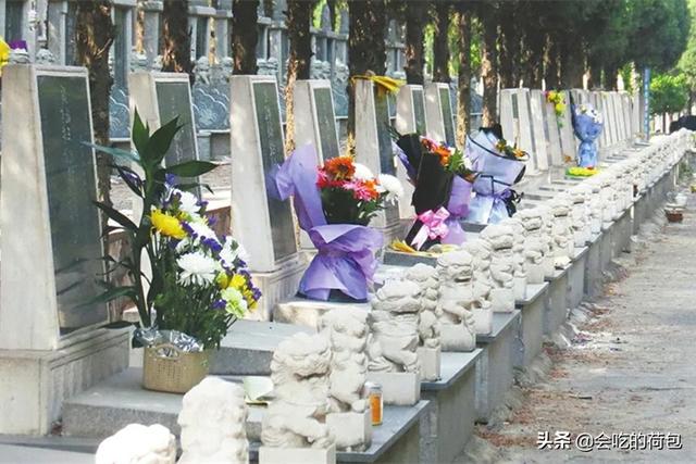 清明节祭祖，携带水果有什么讲究？牢记“4带4不带”，人财两旺