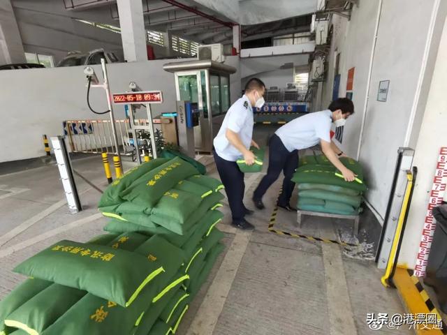 今天这场暴雨，让香港、广东、澳门三地吵起来了