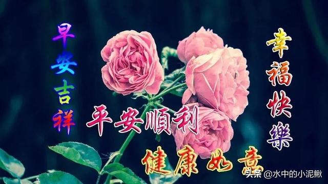 适合04月24日发微信朋友圈的早安句子