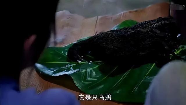 鲛人做主角的剧那么多，大多数却都不好看，是演员的锅吗？