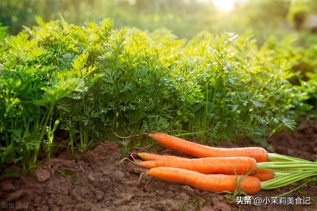 芭蕉根怎么做菜（这菜很多人只吃根）(2)