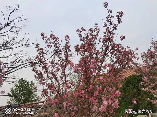 陈修光｜半程坎坷半程修行，感恩生活中的每一个感动