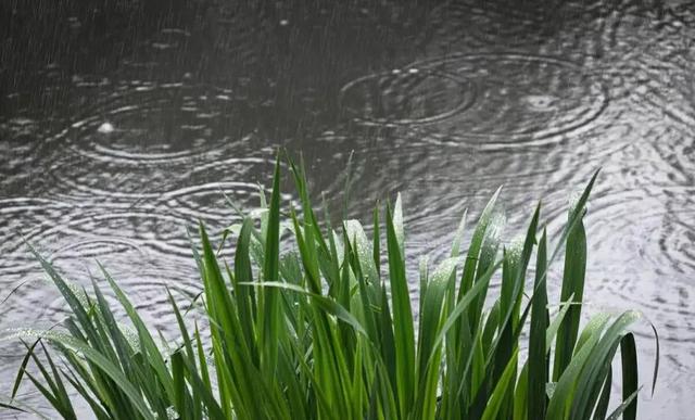 天气预报：新一轮冷空气来袭，局部降温超10℃，倒春寒又来了吗？