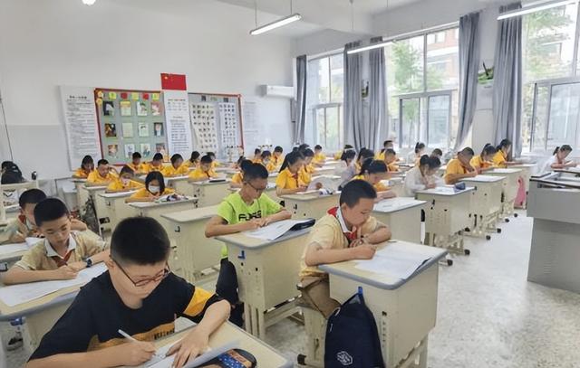 中小学生成绩排名(中小学生成绩和排名)