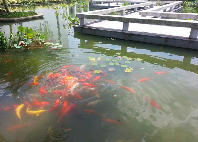 全自动鱼池物理过滤机
