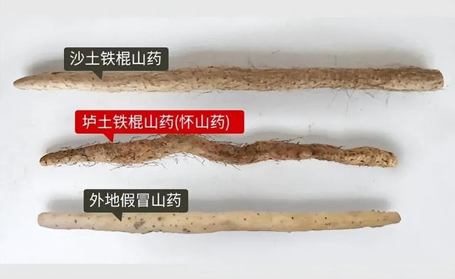 阳气生发最关键的一个月，3宜3忌要做好