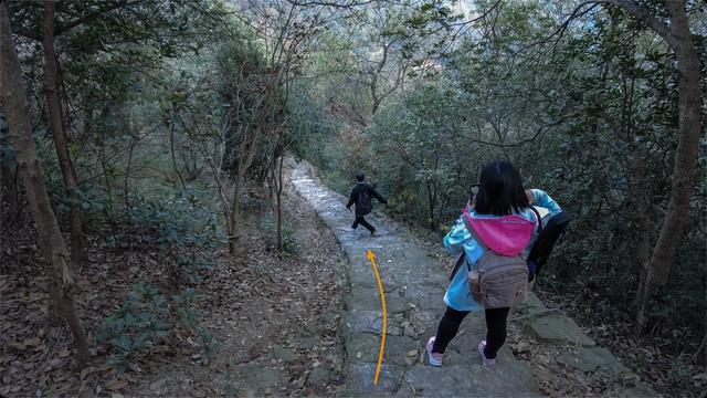 杭州登山徒步路線17：野路有趣，但不建議盲目去爬