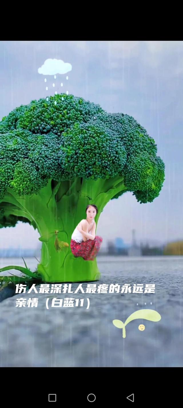 伤你最深的永远是亲情