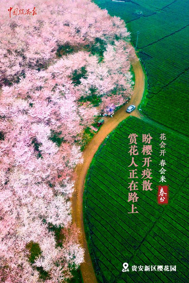 今日春分｜繁花如期盛开 春天定将到来