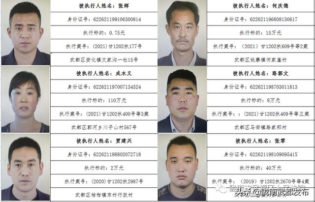 曝光! 武都区法院公布2022年第一批失信被执行人名单（172人）