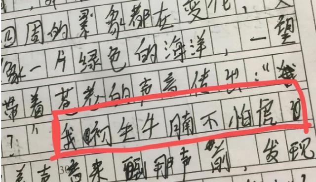 九牛一毛的意思