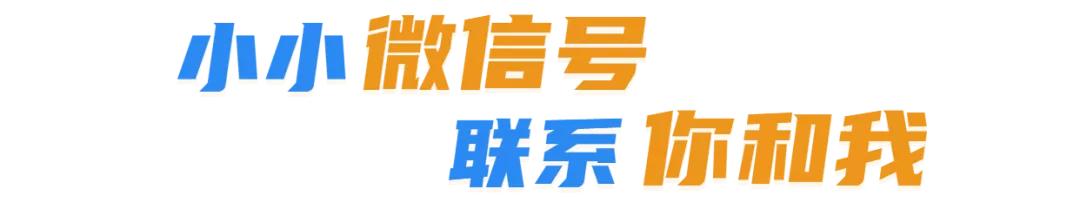 查询法院案件信息查询