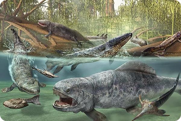 所谓的第六次生物大灭绝，人类能幸免于难吗？