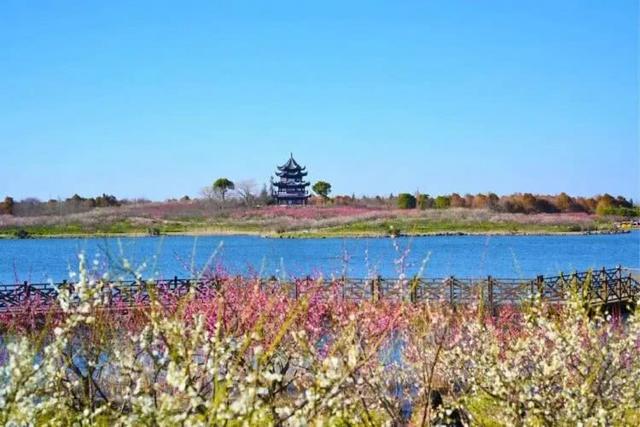 上海近郊团建