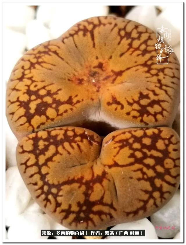 桂林滚筒式洗砂机厂家