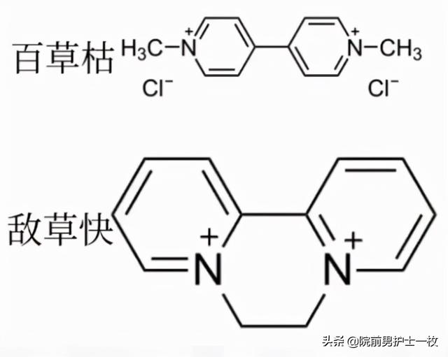 除草剂—敌草快中毒的诊治2