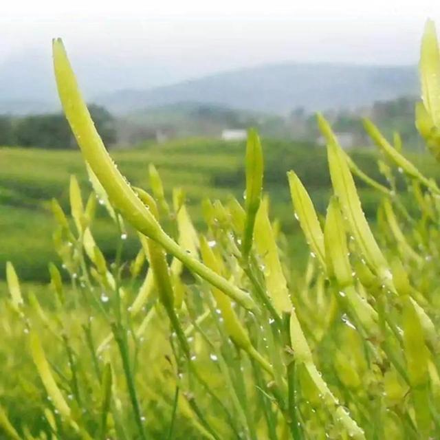 当妈的要知道有5种食物不是越新鲜越好，记得处理好后再给孩子吃