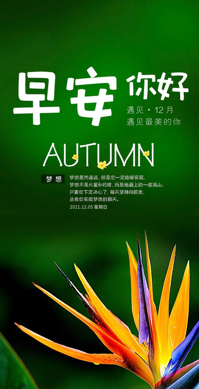 「2021.12.05」早安心语，周末正能量最赞语录，最好看早上好图片