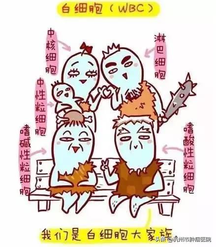 一年之計在于春，健康體檢正當時，其中這項檢查報告你看懂了嗎？