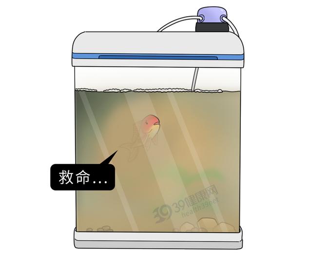 多功能过滤机加盟好不好的简单介绍