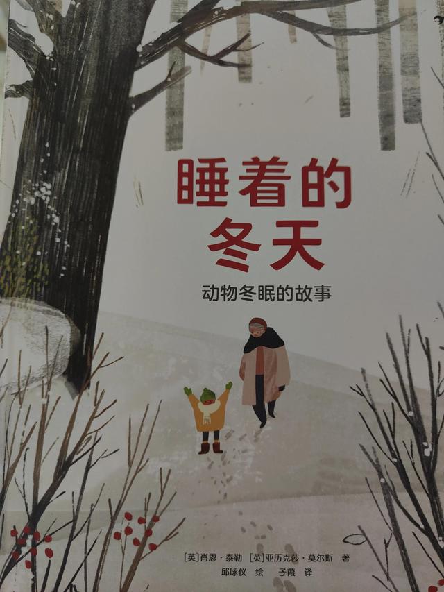 冬眠的动物动物独特的冬眠方式