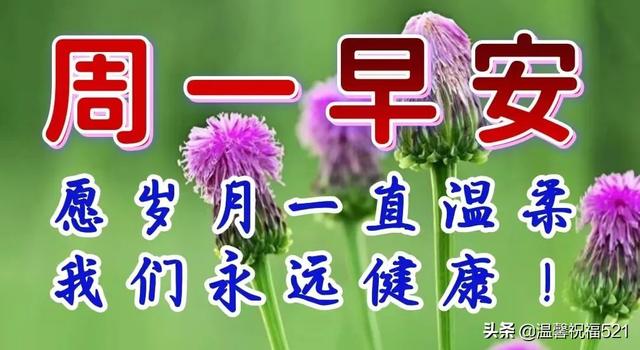 5月16日一季有一季风景,一岁有一岁味道;愿岁月一直温柔,永远健康