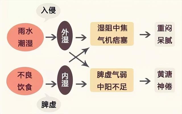 这三种东西越吃湿气越重，夏季一定要少吃，再喜欢也要注意