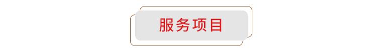 广东废家电破碎机供应商