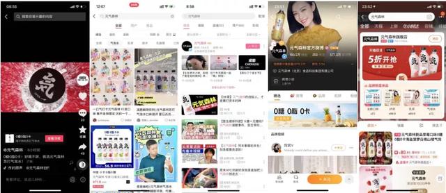 元气森林私域体系拆解