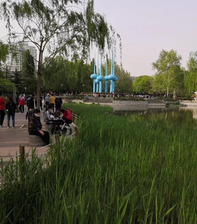 暂忘疫情，且享闲情——人定湖闲步