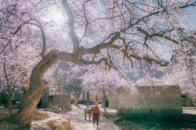 冬天去哪里旅游比较好