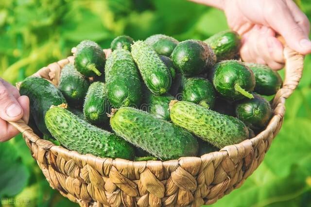 明日立夏，别忘了“补夏”，吃3肉食4菜，忌3事，夏天不“苦夏”