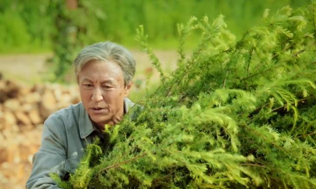 34集《青山不墨》今晚开播，上星央视1套，4位实力派坐镇，该火了