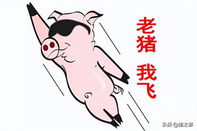 火力全开！猪价“冲天大涨”，多地猪价“破7冲8”，发生了啥？