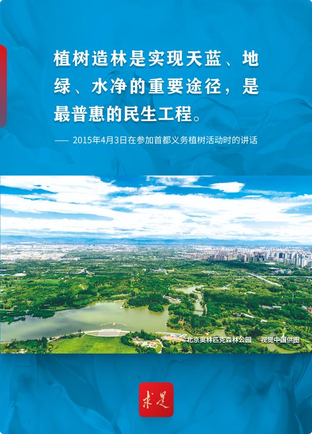 十年树木，总书记深情寄语
