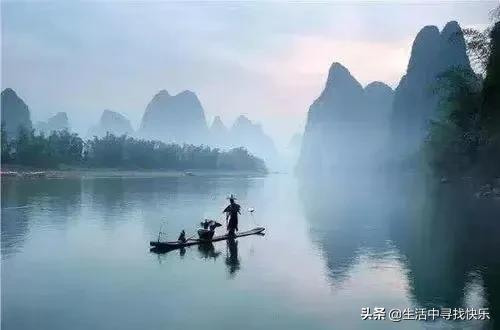 生命毒刺 (句句入骨)