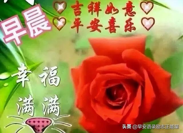 早上起床最火爆的励志早安心灵鸡汤语录，励志心灵鸡汤分享