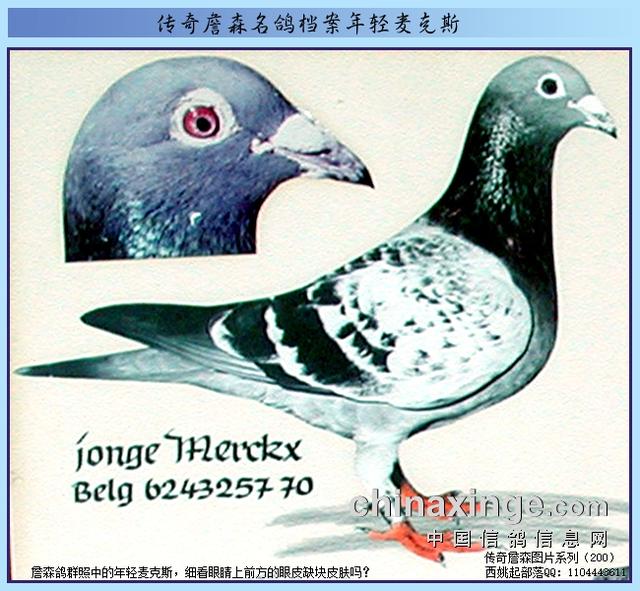邢台华普机械制砂机