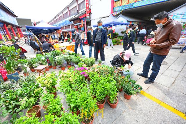 济南英雄山文化市场恢复开放，市民开启逛地摊模式