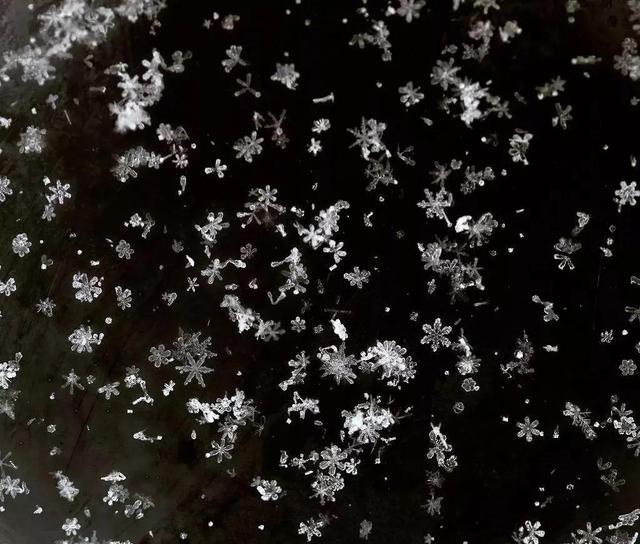 形容飞雪的比喻句,雪花像什么比喻句大全?-营销圈