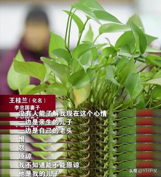 “他确实开车撞死了我丈夫，但我只能原谅他”河南车祸奇案