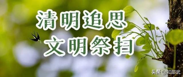 邵武市清明节，网上祭扫指南
