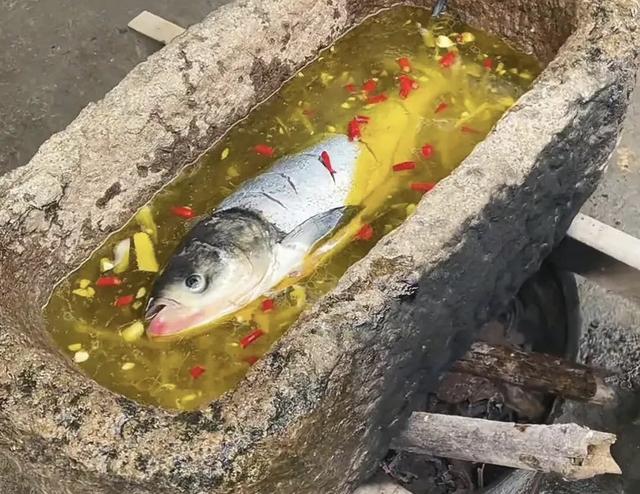 一女子晒自家做的酸菜鱼 网友的评论精彩了 我家猪槽昨夜被偷 新闻时间