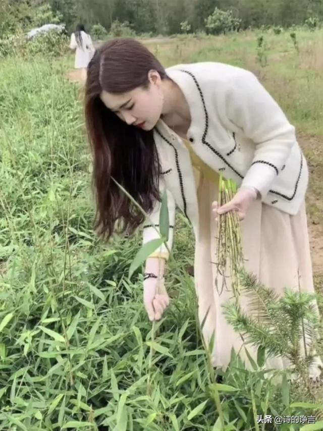 风轻轻呼唤，云悄悄告别