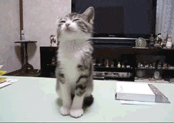 都说四神汤健脾养胃，为什么我吃了便秘？