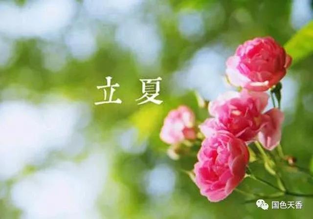 春去夏来 财运火红