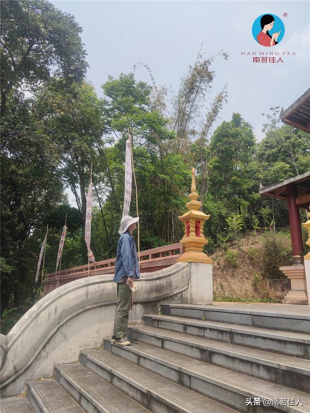 云南当地人都喝什么茶（云南的这些饮茶风俗）(1)