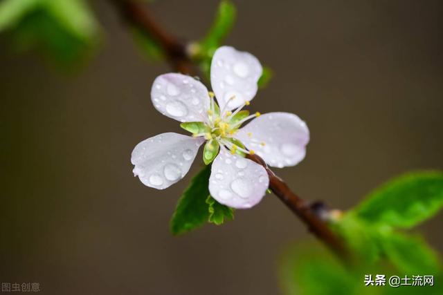 梅雨季节是什么时候